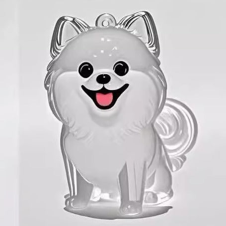 Transparent Pet Hair Memorial Pendant