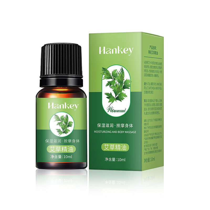 Rose Ginger Mugwort Massage Essential Oil for Gua Sha, Unblocking Meridians, Beauty Salon Special Essential Oil, Body Massage Oil