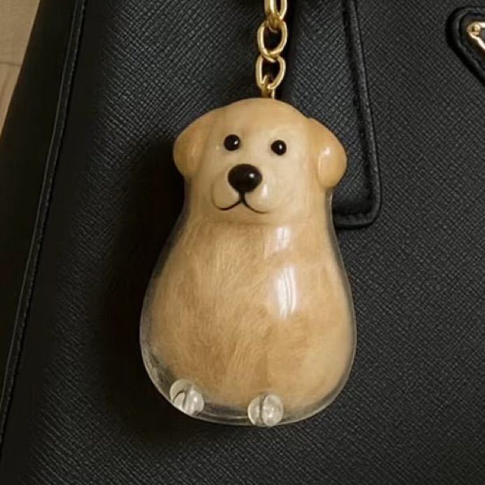 Transparent Pet Hair Memorial Pendant