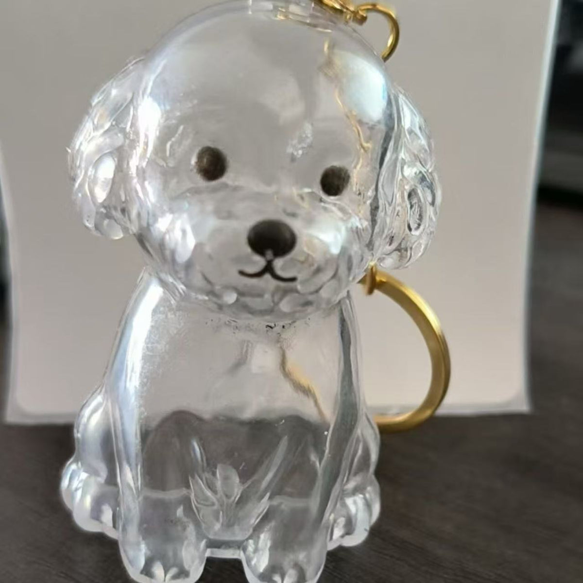 Transparent Pet Hair Memorial Pendant