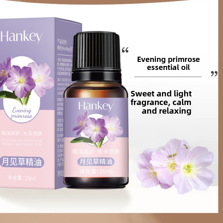 Rose Ginger Mugwort Massage Essential Oil for Gua Sha, Unblocking Meridians, Beauty Salon Special Essential Oil, Body Massage Oil